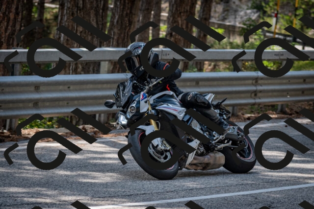 202508161515-DSC_6115_c2