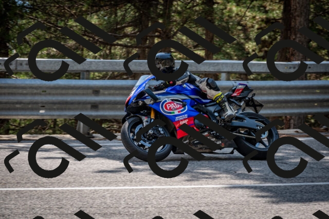 202508161515-DSC_6117_c2