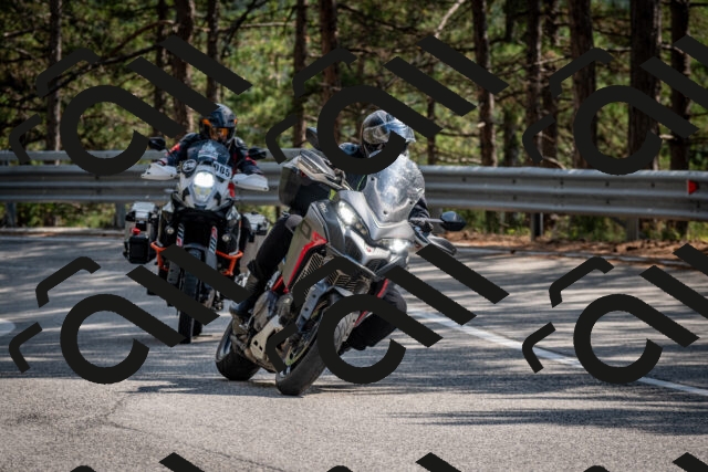 202508161521-DSC_6131_c2