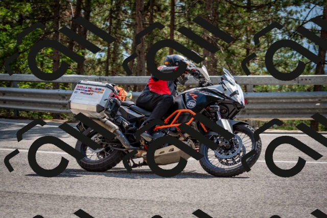 202508161521-DSC_6134_c2