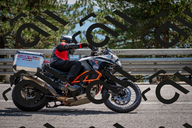 202508161521-DSC_6135_c2