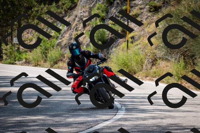 202508161522-DSC_6139_c2