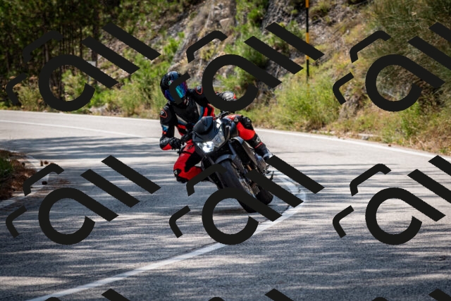 202508161522-DSC_6140_c2