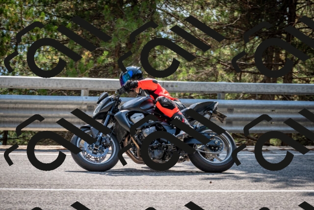 202508161522-DSC_6142_c2