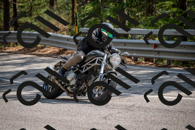 202508161529-DSC_6162_c2