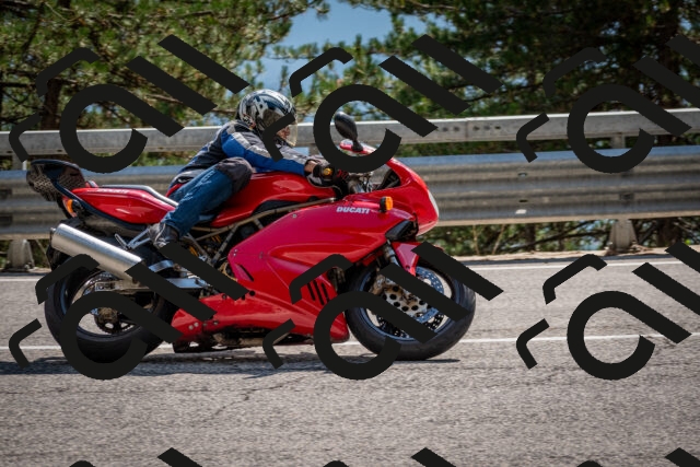 202508161529-DSC_6164_c2