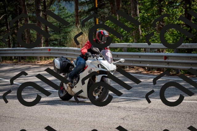 202508161530-DSC_6165_c2