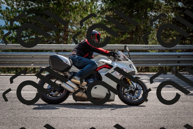 202508161530-DSC_6167_c2