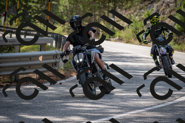 202508161534-DSC_6173_c2