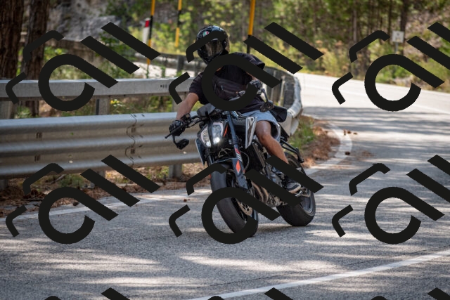 202508161534-DSC_6174_c2