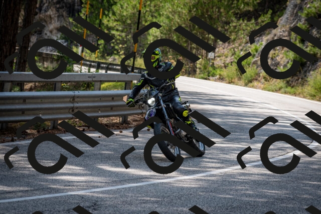 202508161534-DSC_6175_c2