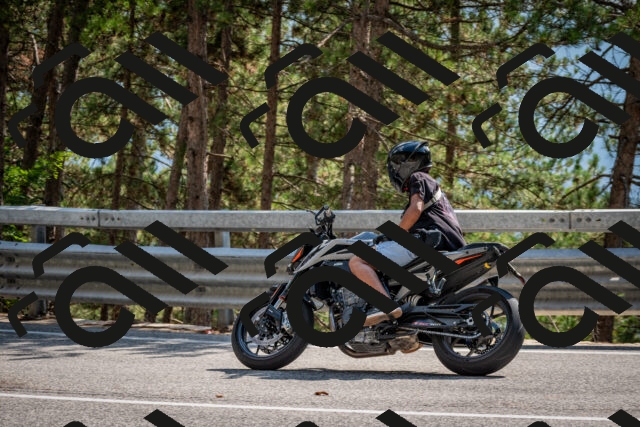 202508161534-DSC_6177_c2