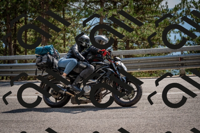 202508161534-DSC_6180_c2