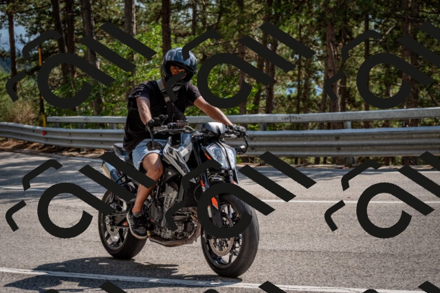 202508161535-DSC_6183_c2