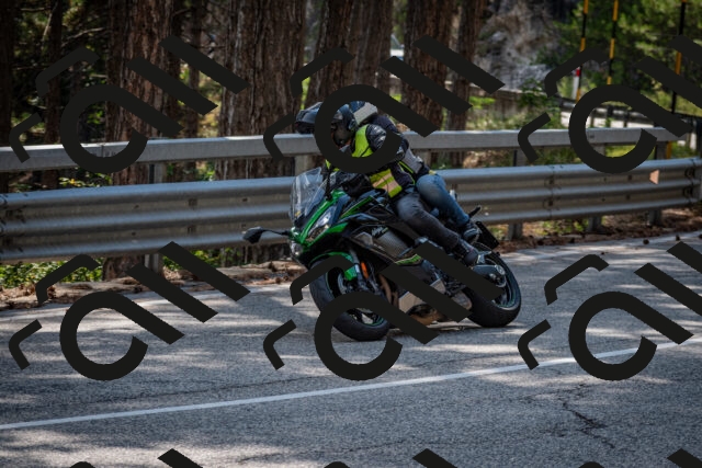 202508161544-DSC_6191_c2