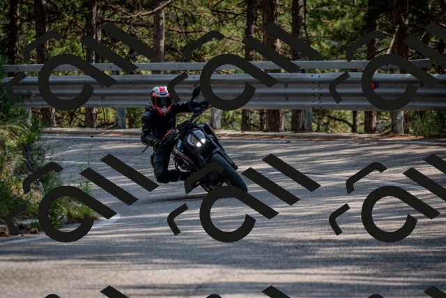 202508161545-DSC_6194_c2