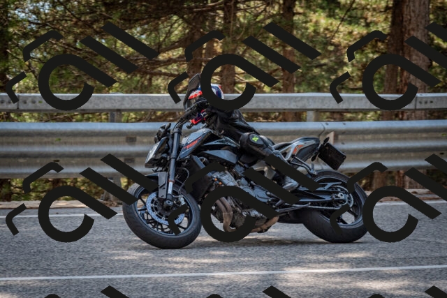 202508161551-DSC_6202_c2