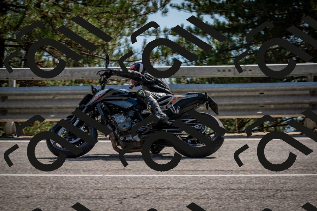 202508161551-DSC_6203_c2