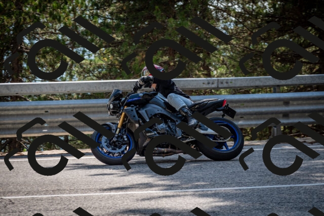 202508161551-DSC_6205_c2