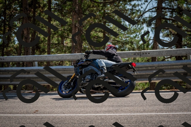 202508161551-DSC_6207_c2