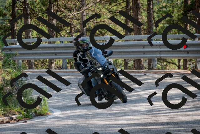 202508161555-DSC_6208_c2