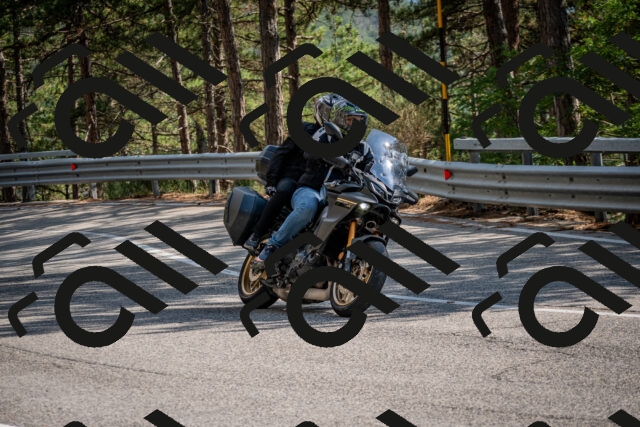 202508161555-DSC_6209_c2