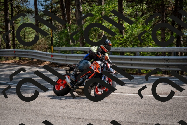 202508161556-DSC_6218_c2