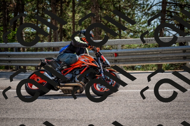 202508161556-DSC_6219_c2