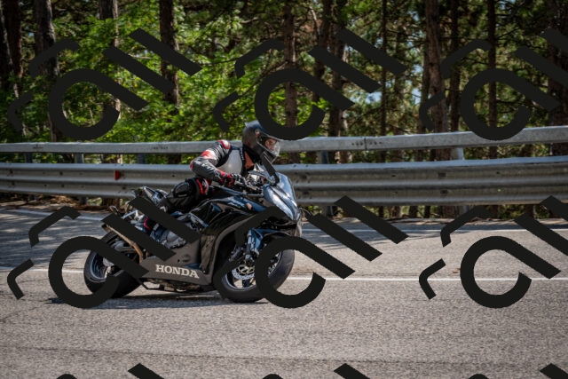 202508161556-DSC_6221_c2