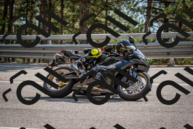 202508161600-DSC_6230_c2