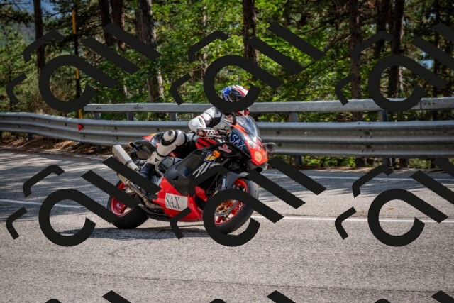 202508161601-DSC_6233_c2