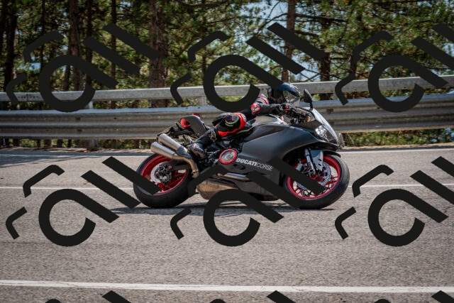 202508161601-DSC_6238_c2