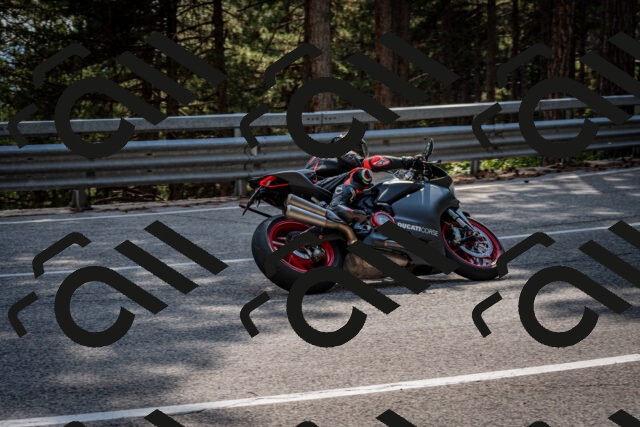 202508161601-DSC_6240_c2