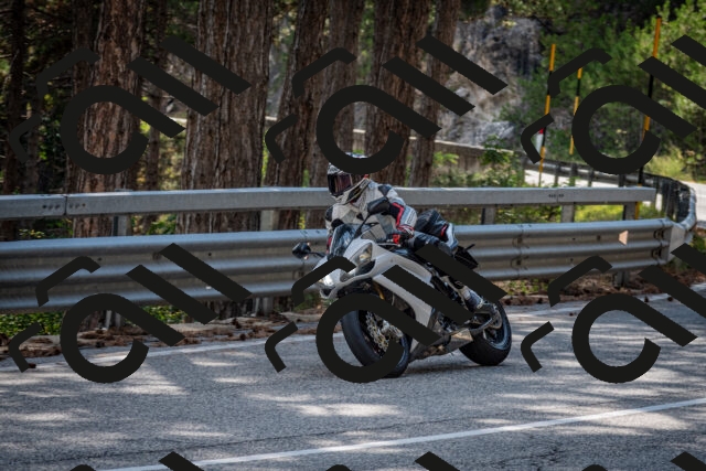 202508161601-DSC_6241_c2