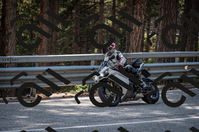 202508161601-DSC_6242_c2