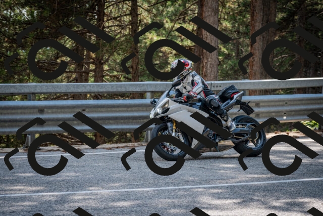 202508161601-DSC_6243_c2