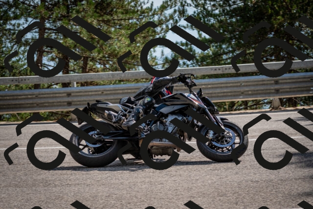 202508161601-DSC_6247_c2