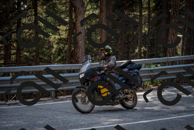 202508161602-DSC_6250_c2