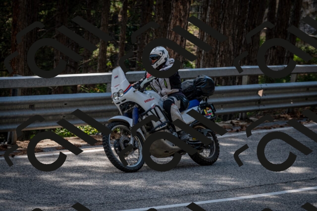 202508161602-DSC_6253_c2