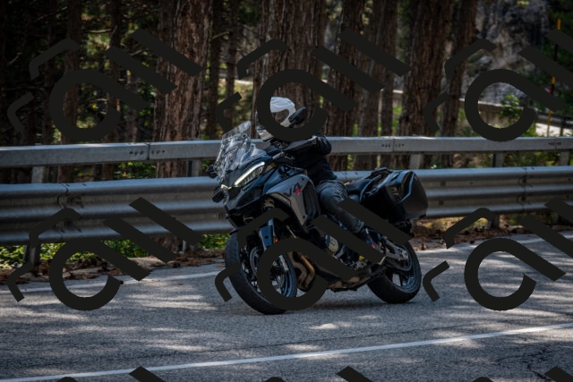 202508161609-DSC_6262_c2