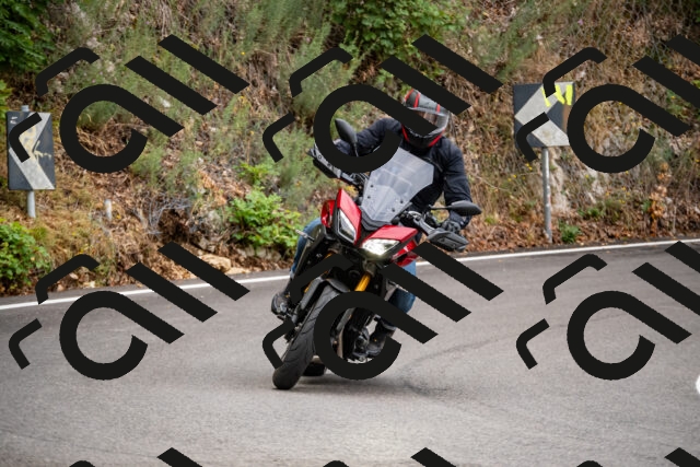 202508170951-_DSC4660_d2_