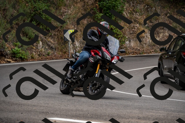 202508170951-_DSC4661_d2_