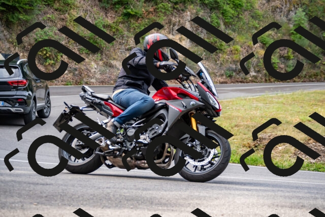 202508170951-_DSC4662_d2_