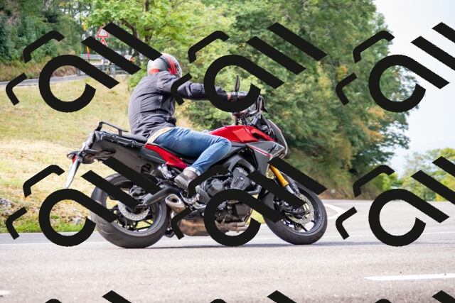 202508170951-_DSC4663_d2_