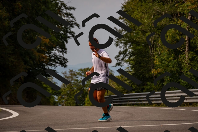 202508170956-_DSC4666_d2_