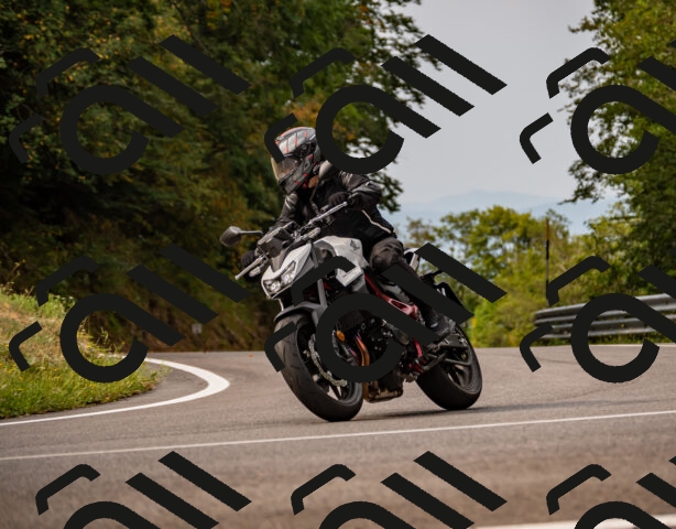 202508170957-_DSC4679_d2_