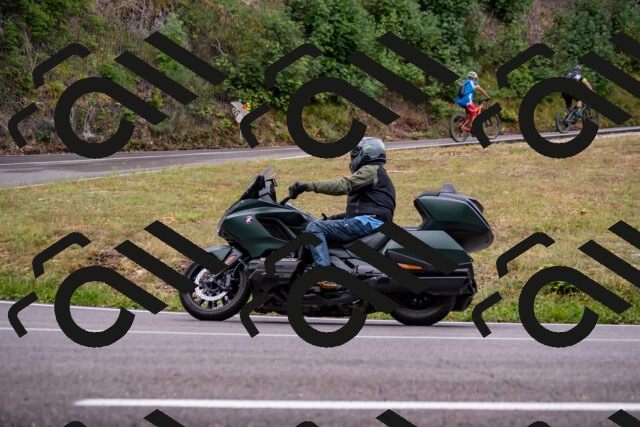 202508171002-_DSC4686_d2_