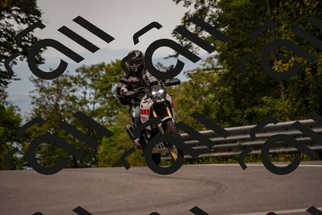 202508171005-_DSC4687_d2_