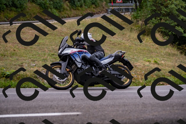 202508171006-_DSC4690_d2_