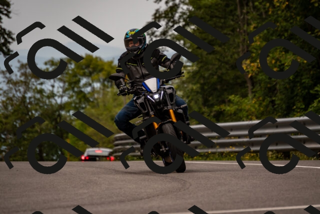 202508171006-_DSC4692_d2_